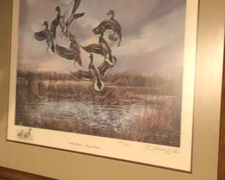 Numbered Wayne Willis