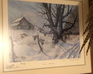 Numbered Wayne Willis