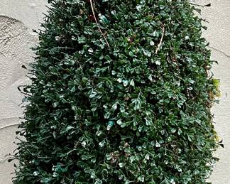 Lighted Faux Boxwood Tree