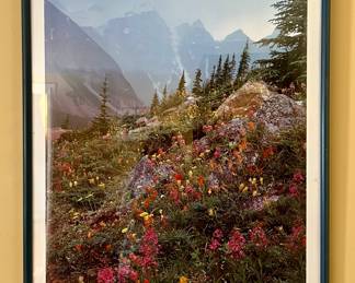 Framed Sierra Club Poster
