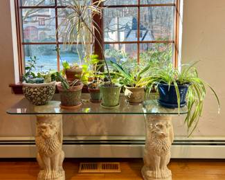 Assorted House Plants & Glass Top Table