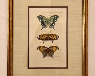 (2) Butterfly Prints