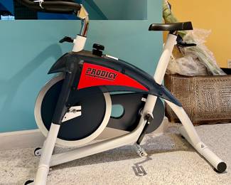 Prodigy Exercise Bike