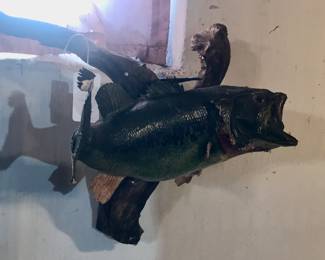 Items Located In The Basement ~ Tons of Vintage Items