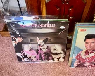 Items Located In The Living Room ~ Vintage Records