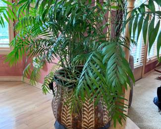 Large Metal SW Style Finish Pot Genuine Palm Tree in Ceramic Pot