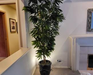 7.6 Foot Tall Silk Mango Faux Tree in Large Ceramic Pot