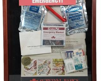 Frank Sinatra Emergency Kit Gift