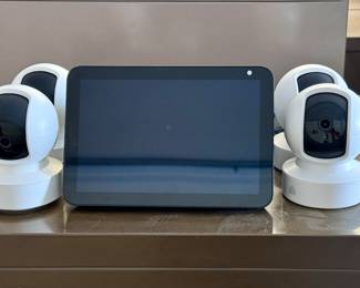 Amazon Echo Show and spot tilt cameras