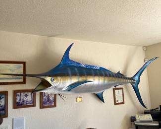 GIANT Blue Marlin