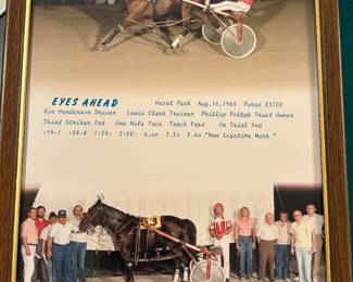 Hazel park racetrack