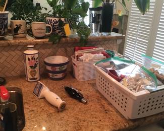 Plants, mugs, etc.