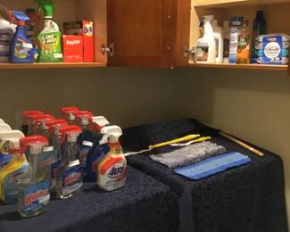 Cleaning supplies