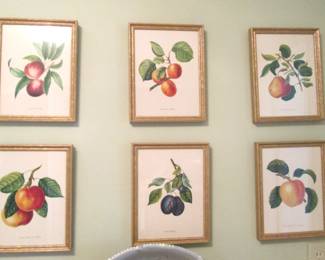 Fruit Prints