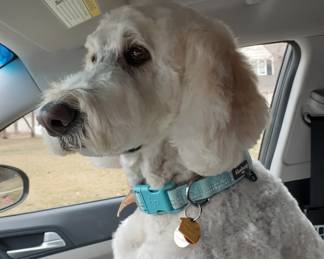 Going to my modeling gig