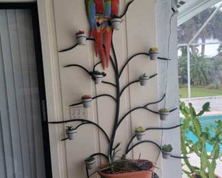 Succulent display, 10 potted succulents, bird accent piece, 75.00 for the set