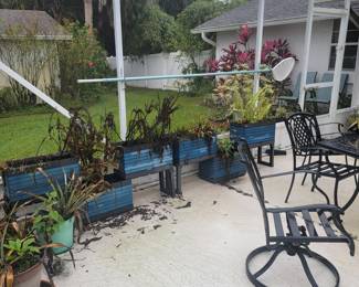 Planters with a variety of plants