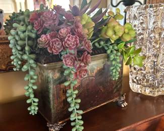 Succulents in decorative pot 