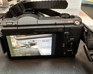 Sony Digital Camera and SELP1650 Lens