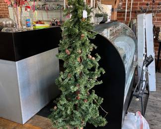 Assortment of Christmas trees