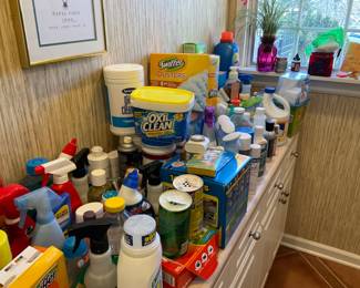 ALL THE CLEANERS ARE HERE. 