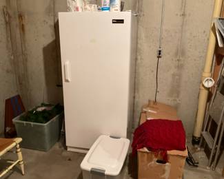 NICE UP RIGHT FREZZER 