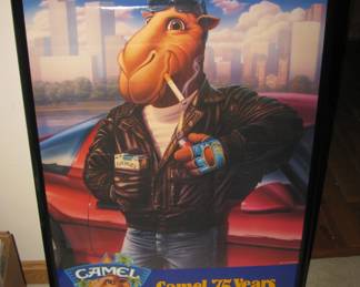 Camel Joe poster