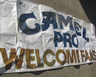 12' banner