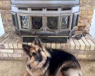 Country Comfort Wood Burning Fire Place Insert