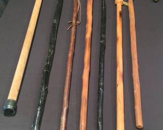 Cane and walking stick collection