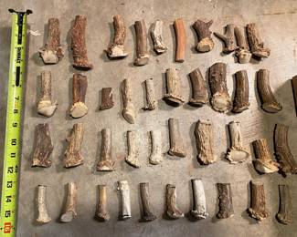 Forty Dear Horn Butt’s Antlers For Knife Handles / Arts / Crafts