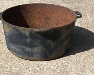 Cast iron pot planter (with three small drainage holes & handles) 13” across and 6” deep.