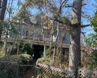 view of front of house through trees, The Belle of the Delta, ca . 1904