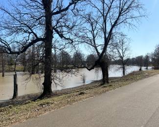 view of canal from street directly across from the house in Sumner