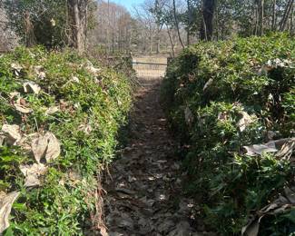 view to street from front porch