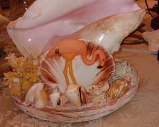 Shell display $45.00