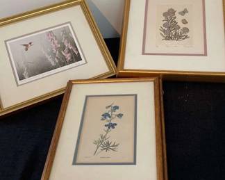  Rufous Hummingbird and Foxgloves by Don LiLeger  More