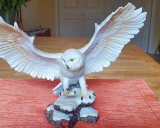Snowy Owl