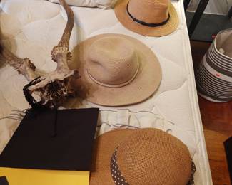 High quality  women's hat including Bella, Solar, Milani and  Helen Kaminski