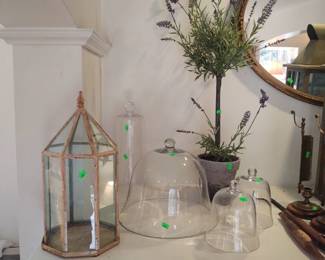 Large Glass Cloche collection