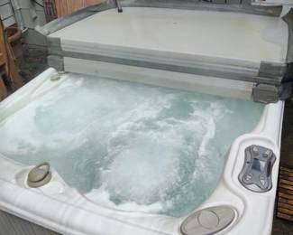 Portable Hot Springs Spa