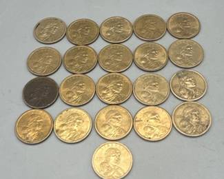 (21) Sacagawea Coins
