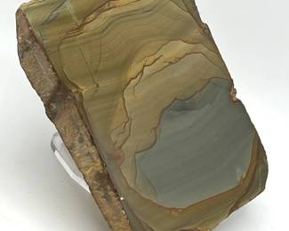 Buckskin Pict. Jasper Stone
