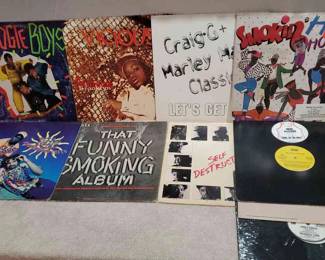 (10) Hip-Hop Album Lot
Albums Include - Brother Hood Creed : 50/50 Love, The Boogie Boys : Survival of the Freshest, Judson Productions : That Funny Smoking Album, Vicious : Destination Brooklyn, Craig-G + Marley Marl = Classic : Let's Get Up, The Stop the Violence Movement : Self Destruction, Smoking Hip House: ft 45 King, Lakin Shabazz, and Curious George. Also Three Non-Illistrated Albums Include - Wu All Stars : Soul in the Hole, Bounty Killer : Its A Party, Singapore : ft Big Shug. All sleeves were checked and the albums match the slips. 
