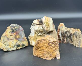 Fossil Rock & More
