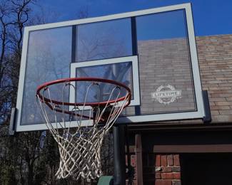 Lifetime Basketball Hoop
