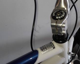 Schwinn Community Bicycle