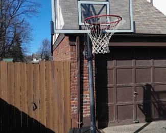 Lifetime Basketball Hoop