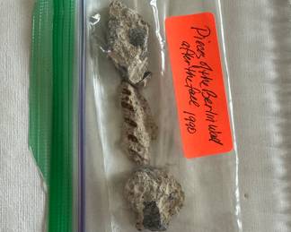 Pieces From The Berlin Wall.