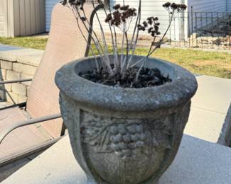 Concrete Planter.